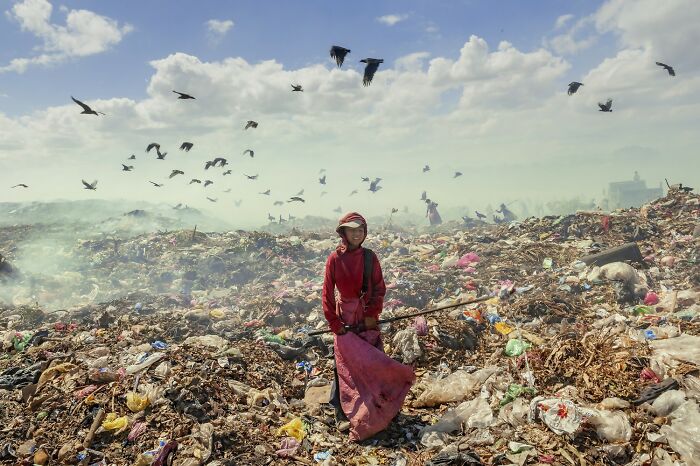 The 2025 Refocus Awards Just Revealed The Best Color Photography, And It’s Breathtaking (50 Pics)