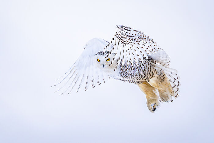 The 2025 Refocus Awards Just Revealed The Best Color Photography, And It’s Breathtaking (50 Pics)