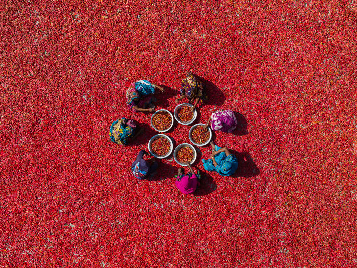 The 2025 Refocus Awards Just Revealed The Best Color Photography, And It’s Breathtaking (50 Pics)