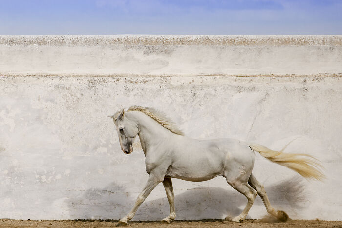 The 2025 Refocus Awards Just Revealed The Best Color Photography, And It’s Breathtaking (50 Pics)
