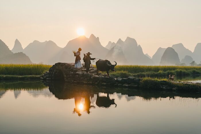 The 2025 Refocus Awards Just Revealed The Best Color Photography, And It’s Breathtaking (50 Pics)