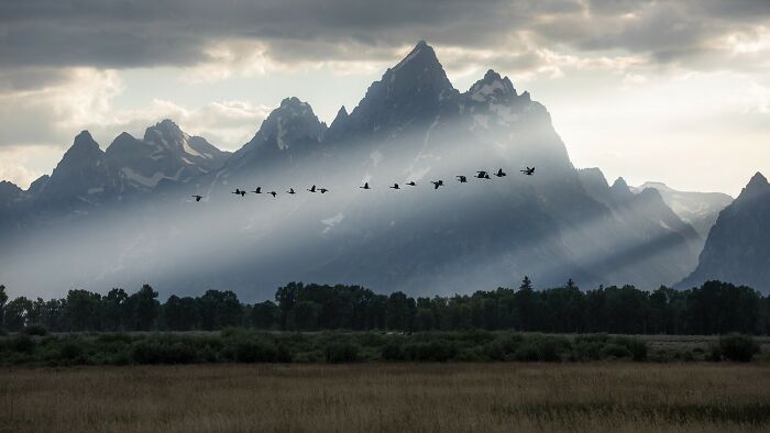 The 2025 Refocus Awards Just Revealed The Best Color Photography, And It’s Breathtaking (50 Pics)