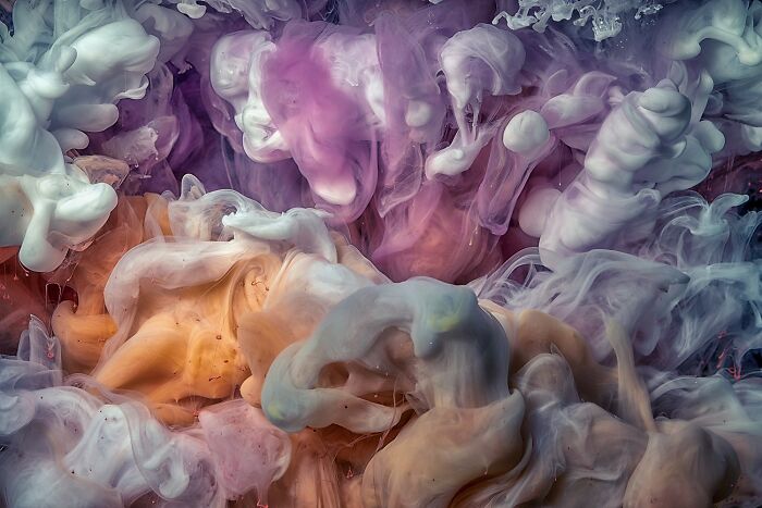 The 2025 Refocus Awards Just Revealed The Best Color Photography, And It’s Breathtaking (50 Pics)