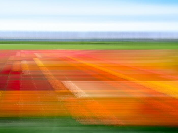 The 2025 Refocus Awards Just Revealed The Best Color Photography, And It’s Breathtaking (50 Pics)