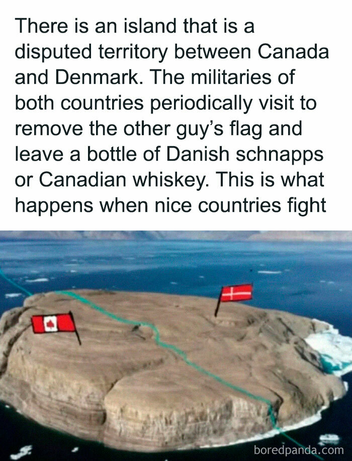 This Online Group Shares Whatever’s Interesting; Here Are 51 Of Their Coolest Posts