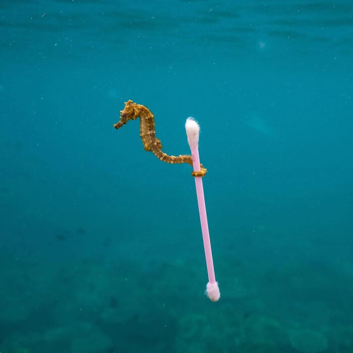This Online Group Shares Whatever’s Interesting; Here Are 51 Of Their Coolest Posts