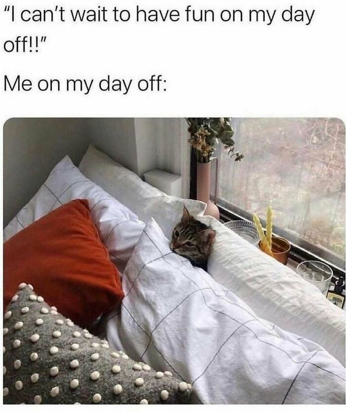80 Hilariously Relatable Memes You’d Probably Want To Tag Your Best Friend In (New Pics)