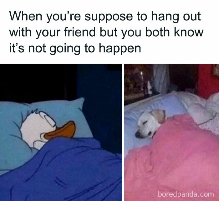 80 Hilariously Relatable Memes You’d Probably Want To Tag Your Best Friend In (New Pics)