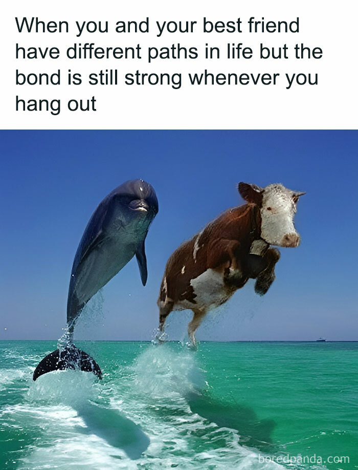 80 Hilariously Relatable Memes You’d Probably Want To Tag Your Best Friend In (New Pics)
