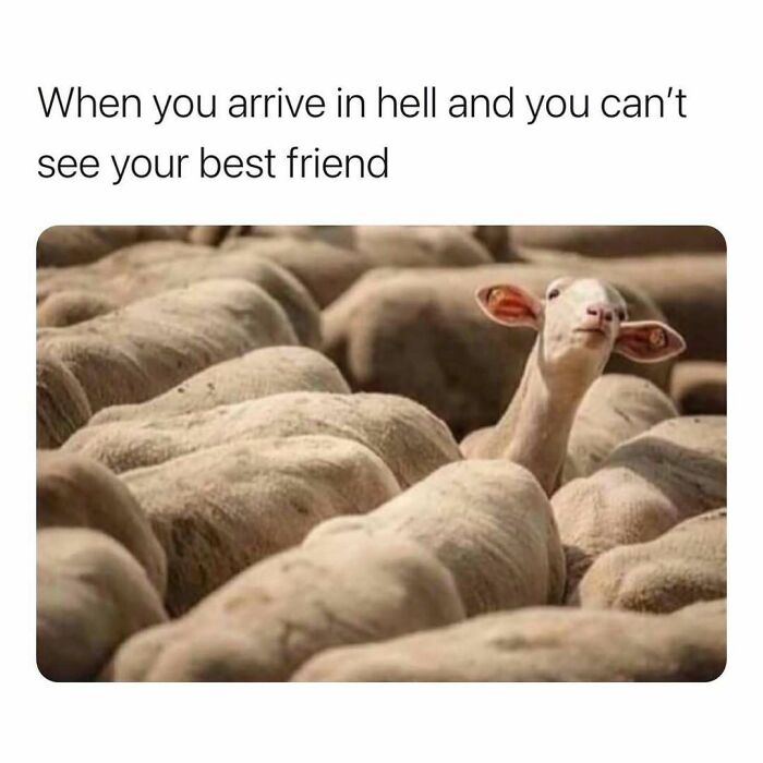 80 Hilariously Relatable Memes You’d Probably Want To Tag Your Best Friend In (New Pics)