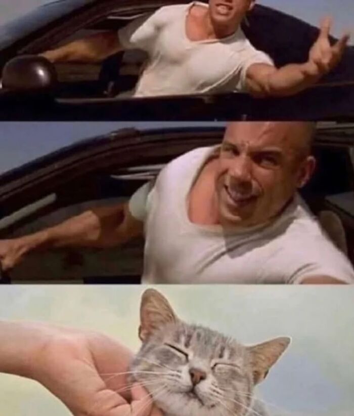 74 Memes That Are Even Funnier If You’ve Seen The Movies They Reference