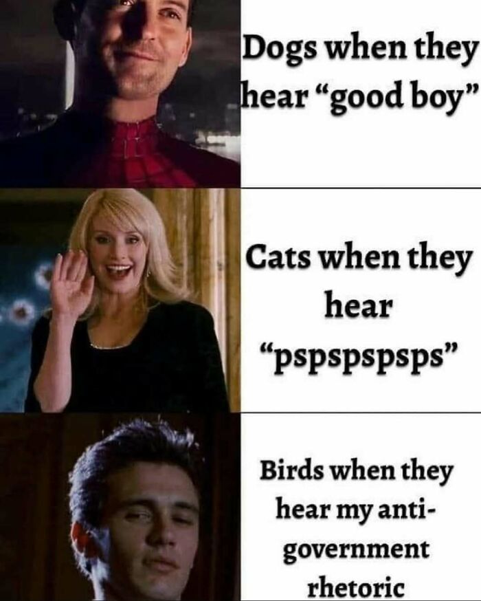 74 Memes That Are Even Funnier If You’ve Seen The Movies They Reference