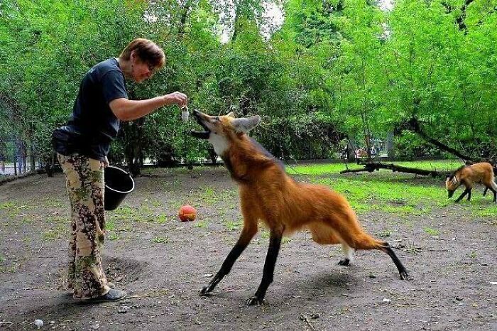 50 Times Nature Made People Say &#8220;No, Thank You&#8221;