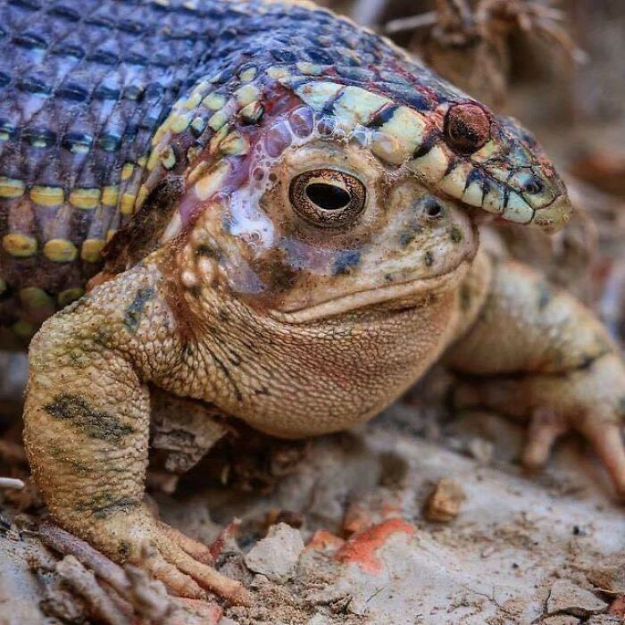 50 Times Nature Made People Say &#8220;No, Thank You&#8221;