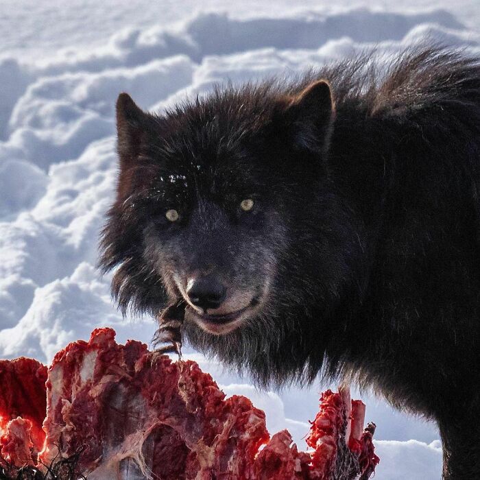 50 Times Nature Made People Say &#8220;No, Thank You&#8221;