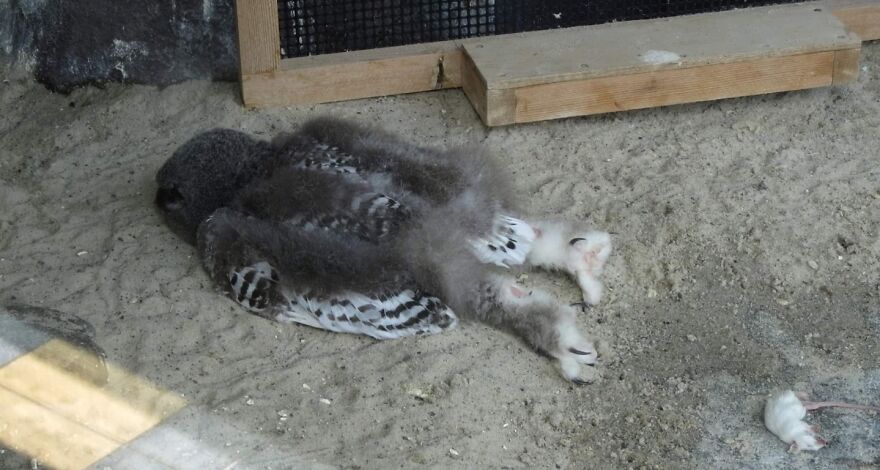 50 Times Nature Made People Say &#8220;No, Thank You&#8221;