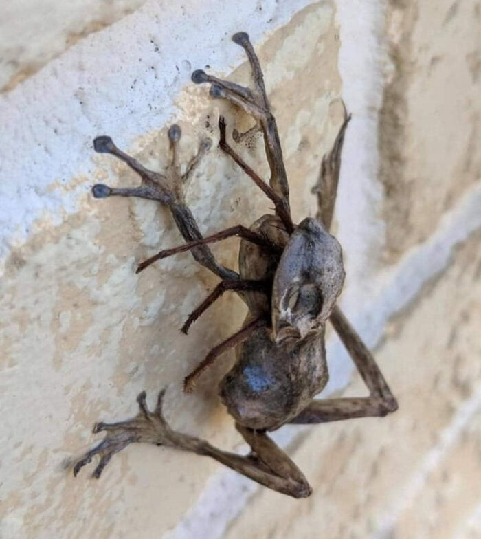 50 Times Nature Made People Say &#8220;No, Thank You&#8221;