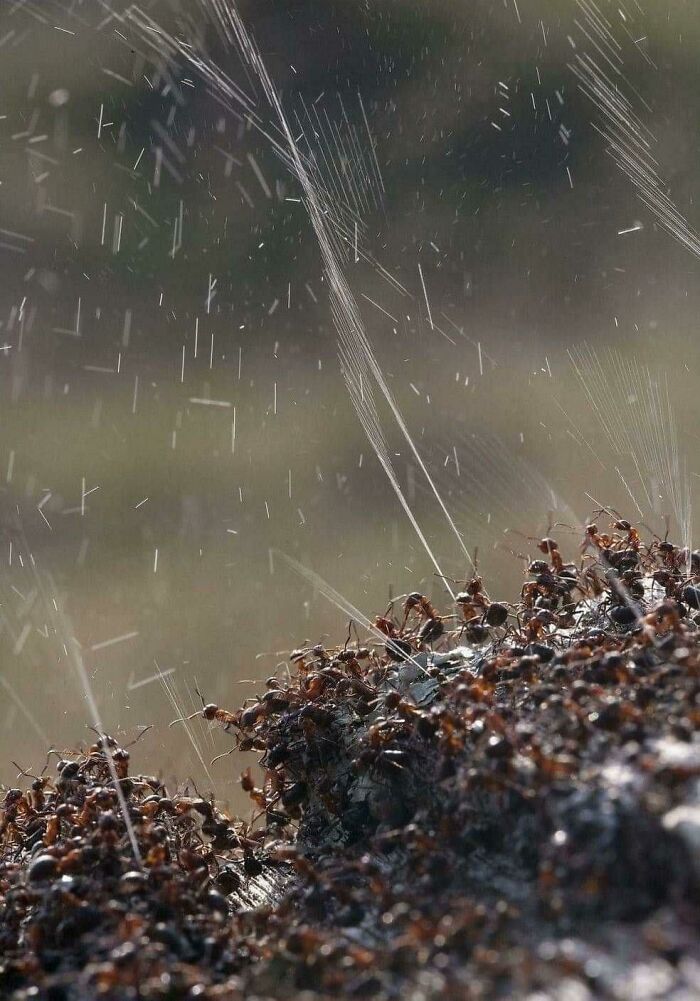 50 Times Nature Made People Say &#8220;No, Thank You&#8221;