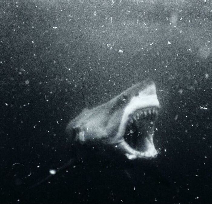 50 Times Nature Made People Say &#8220;No, Thank You&#8221;
