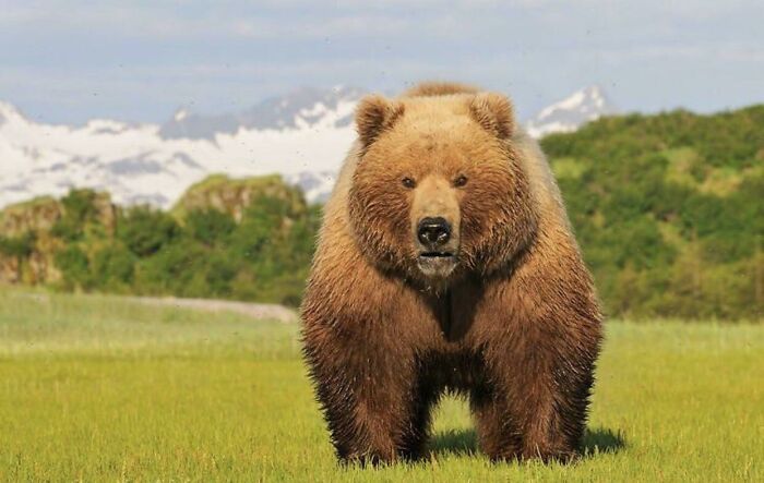 50 Times Nature Made People Say &#8220;No, Thank You&#8221;
