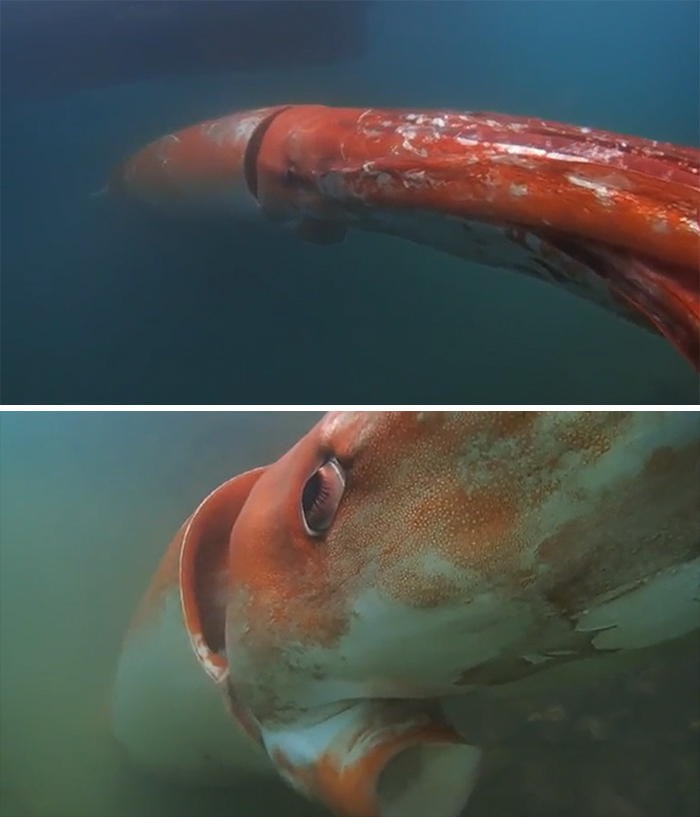 50 Times Nature Made People Say &#8220;No, Thank You&#8221;