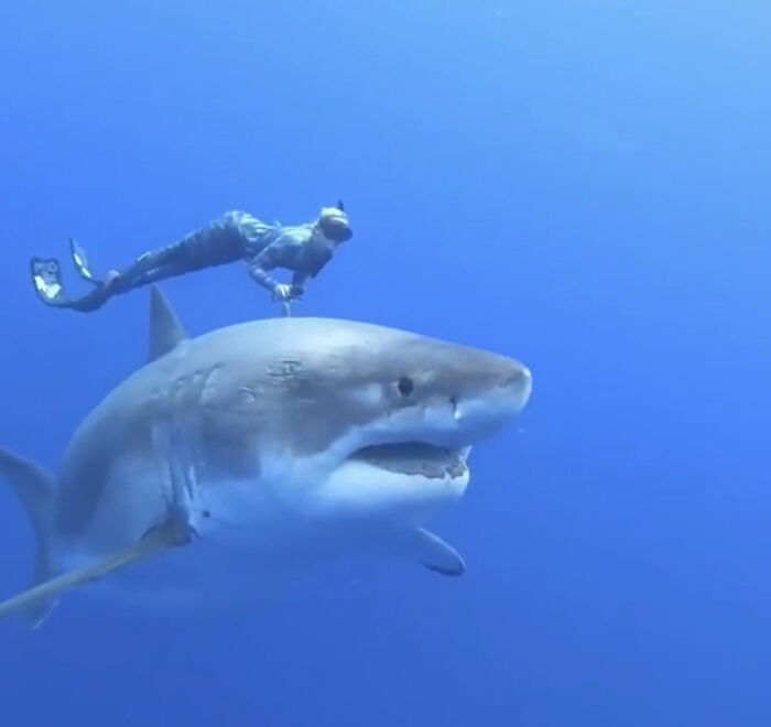 50 Times Nature Made People Say &#8220;No, Thank You&#8221;