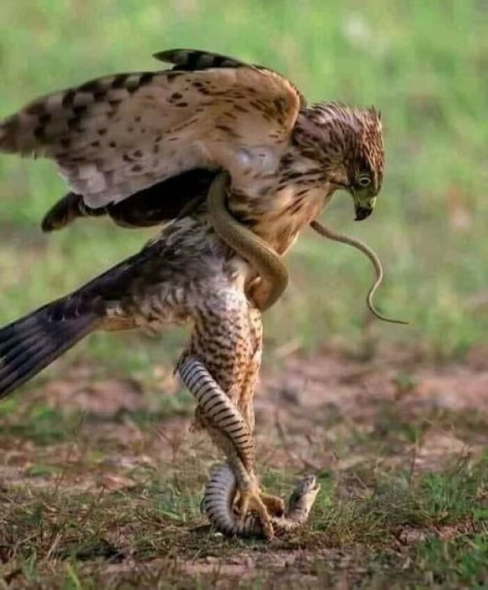 50 Times Nature Made People Say &#8220;No, Thank You&#8221;