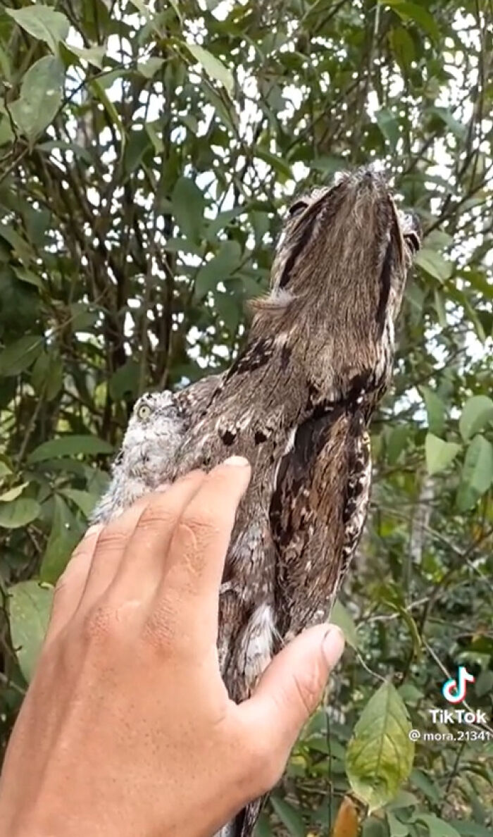 50 Times Nature Made People Say &#8220;No, Thank You&#8221;