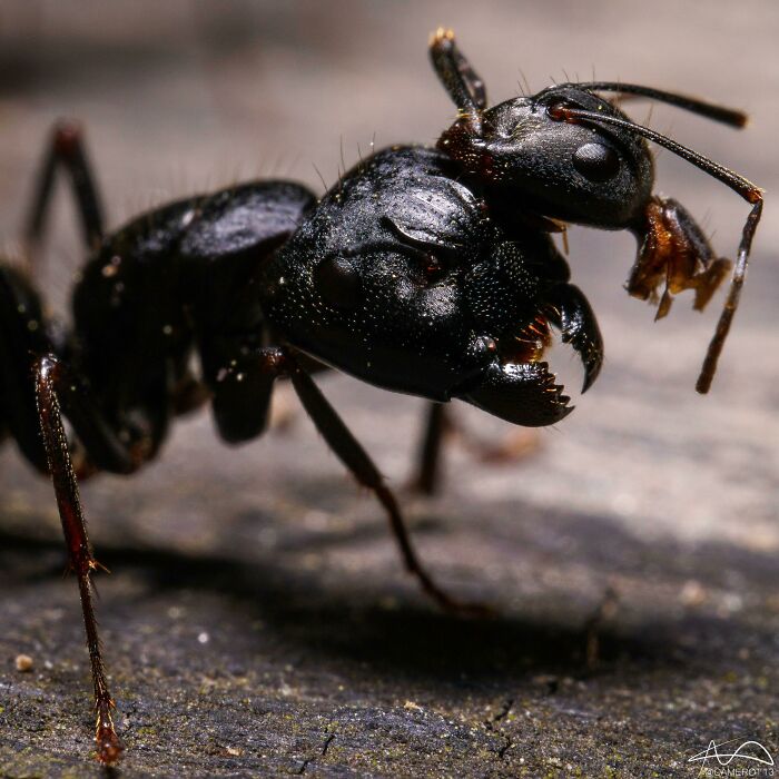 50 Times Nature Made People Say &#8220;No, Thank You&#8221;