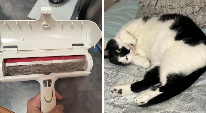22 Products For Problems So Specific You&#8217;ll Swear Someone Is Spying On You