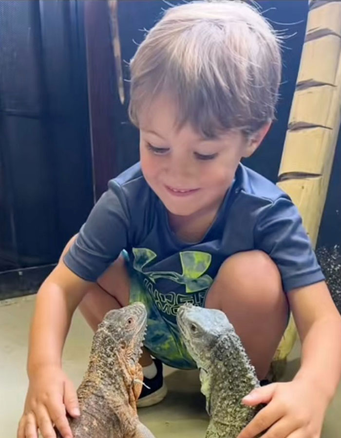 Aquarium Octopus Attacks 6-Year-Old Boy And Turns White The Next Time He Visits
