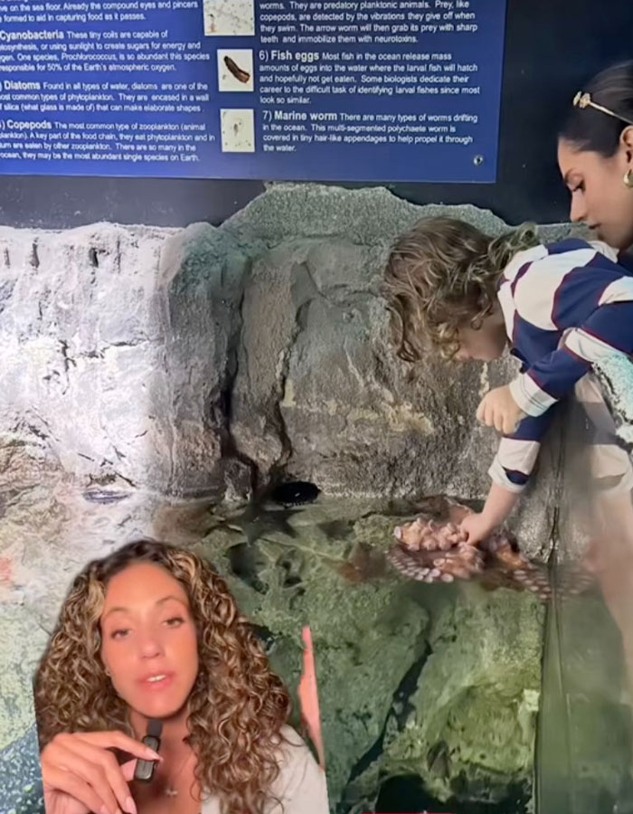 Aquarium Octopus Attacks 6-Year-Old Boy And Turns White The Next Time He Visits