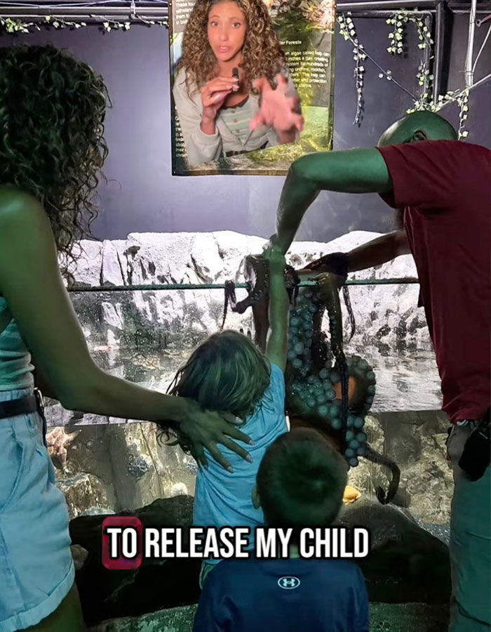 Aquarium Octopus Attacks 6-Year-Old Boy And Turns White The Next Time He Visits