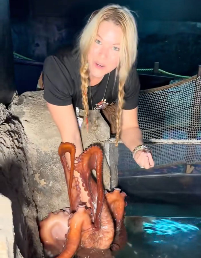 Aquarium Octopus Attacks 6-Year-Old Boy And Turns White The Next Time He Visits