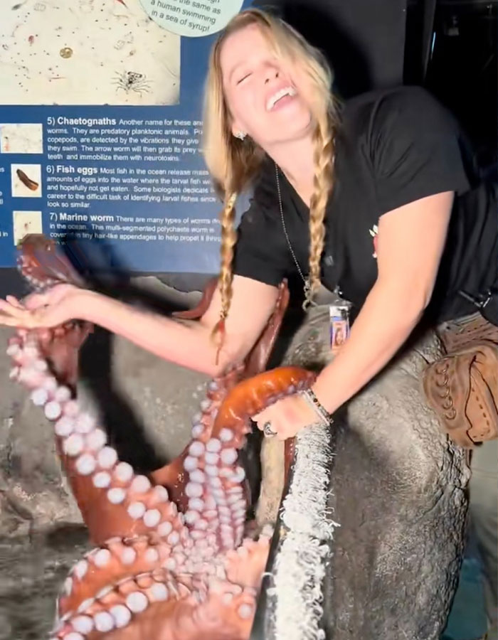 Aquarium Octopus Attacks 6-Year-Old Boy And Turns White The Next Time He Visits