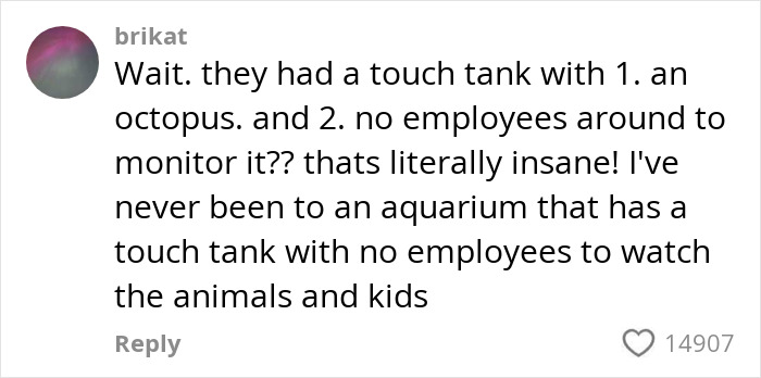 Aquarium Octopus Attacks 6-Year-Old Boy And Turns White The Next Time He Visits