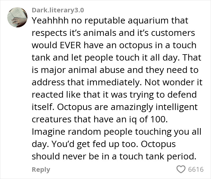 Aquarium Octopus Attacks 6-Year-Old Boy And Turns White The Next Time He Visits