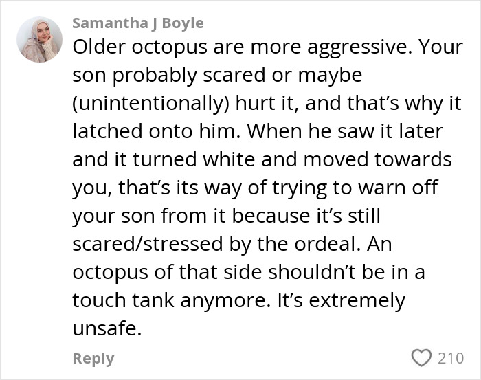 Aquarium Octopus Attacks 6-Year-Old Boy And Turns White The Next Time He Visits