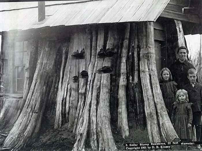79 Historical Photos And Their Interesting Or Heartbreaking Backstories (New Pics)