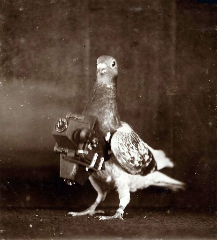 79 Historical Photos And Their Interesting Or Heartbreaking Backstories (New Pics)