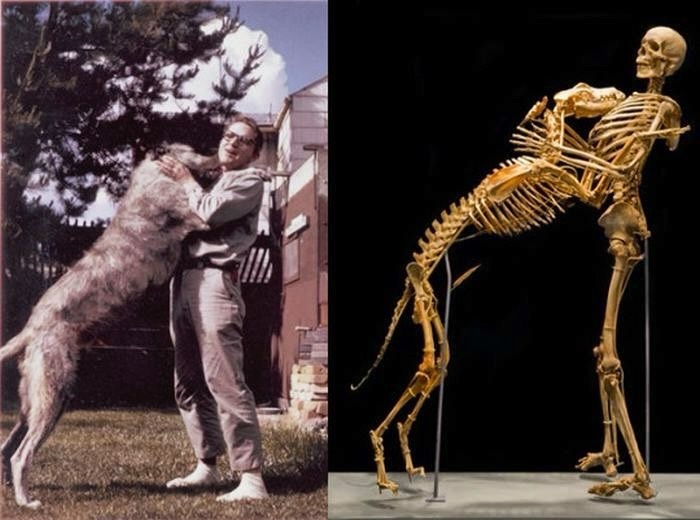 79 Historical Photos And Their Interesting Or Heartbreaking Backstories (New Pics)