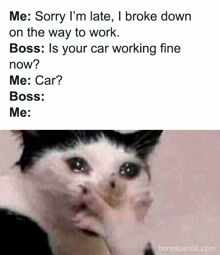 102 Hilariously Accurate Work Memes For Everyone Ready To Retire (New Pics)