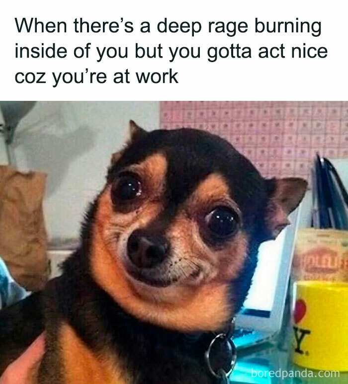 102 Hilariously Accurate Work Memes For Everyone Ready To Retire (New Pics)