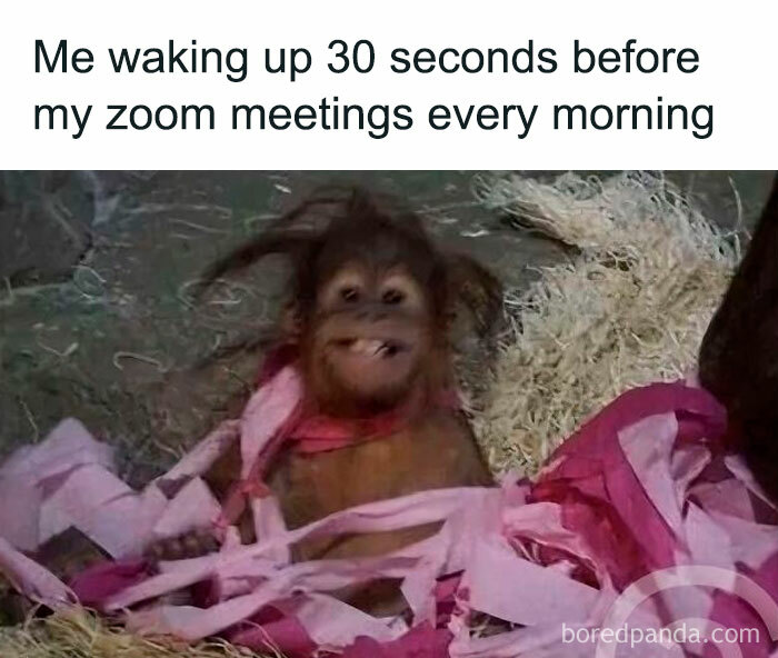 102 Hilariously Accurate Work Memes For Everyone Ready To Retire (New Pics)