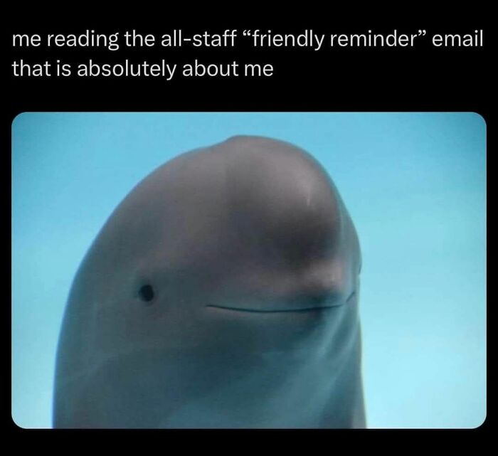 102 Hilariously Accurate Work Memes For Everyone Ready To Retire (New Pics)