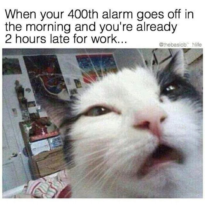 102 Hilariously Accurate Work Memes For Everyone Ready To Retire (New Pics)