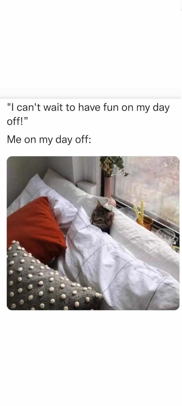 102 Hilariously Accurate Work Memes For Everyone Ready To Retire (New Pics)