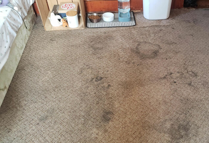 36 People Share The Weirdest Things They’ve Ever Seen In Someone’s Else’s Home