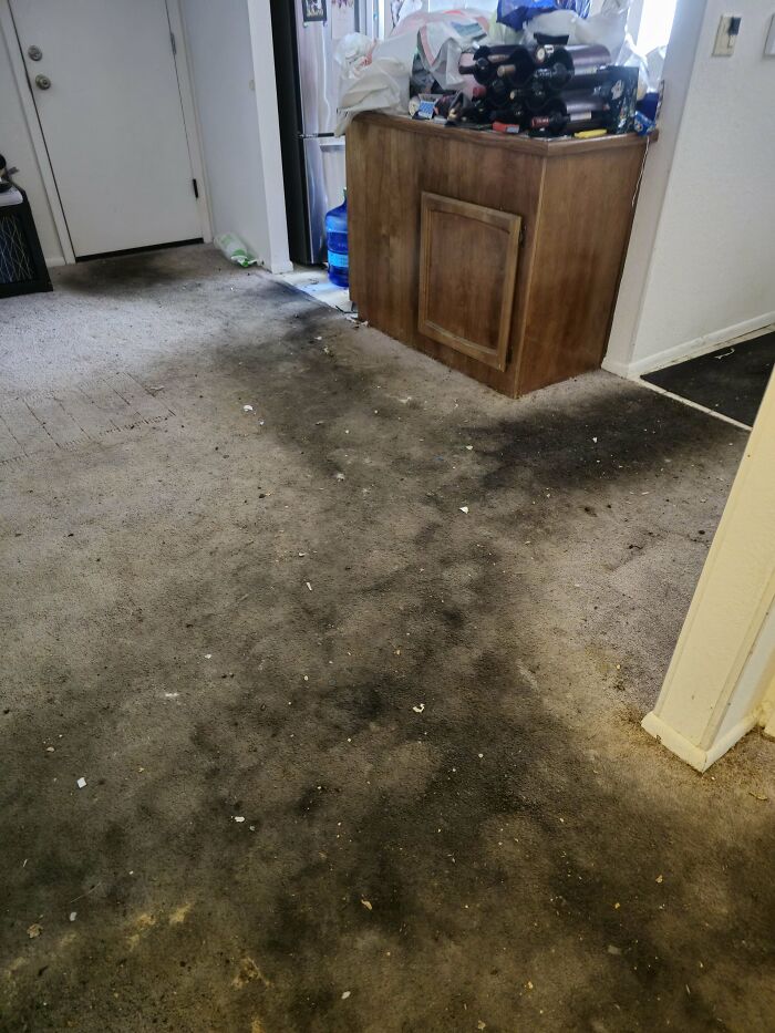 36 People Share The Weirdest Things They’ve Ever Seen In Someone’s Else’s Home