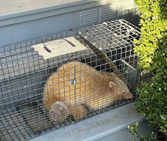 36 People Share The Weirdest Things They’ve Ever Seen In Someone’s Else’s Home